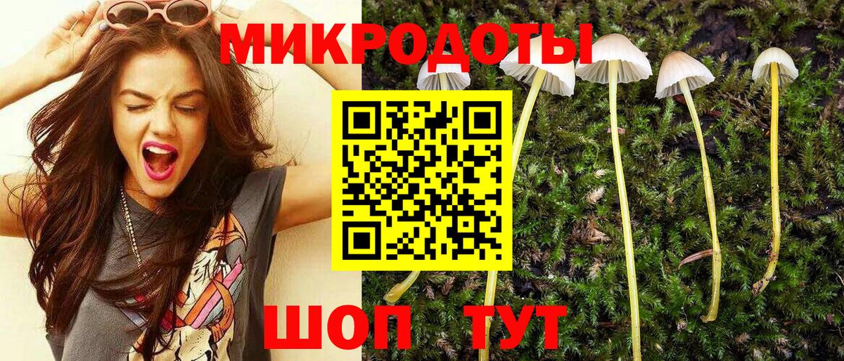 Клин  Галлюциногенные грибы мицелий  Галлюциногенные грибы Psilocybine cubensis  Вход с VPN 